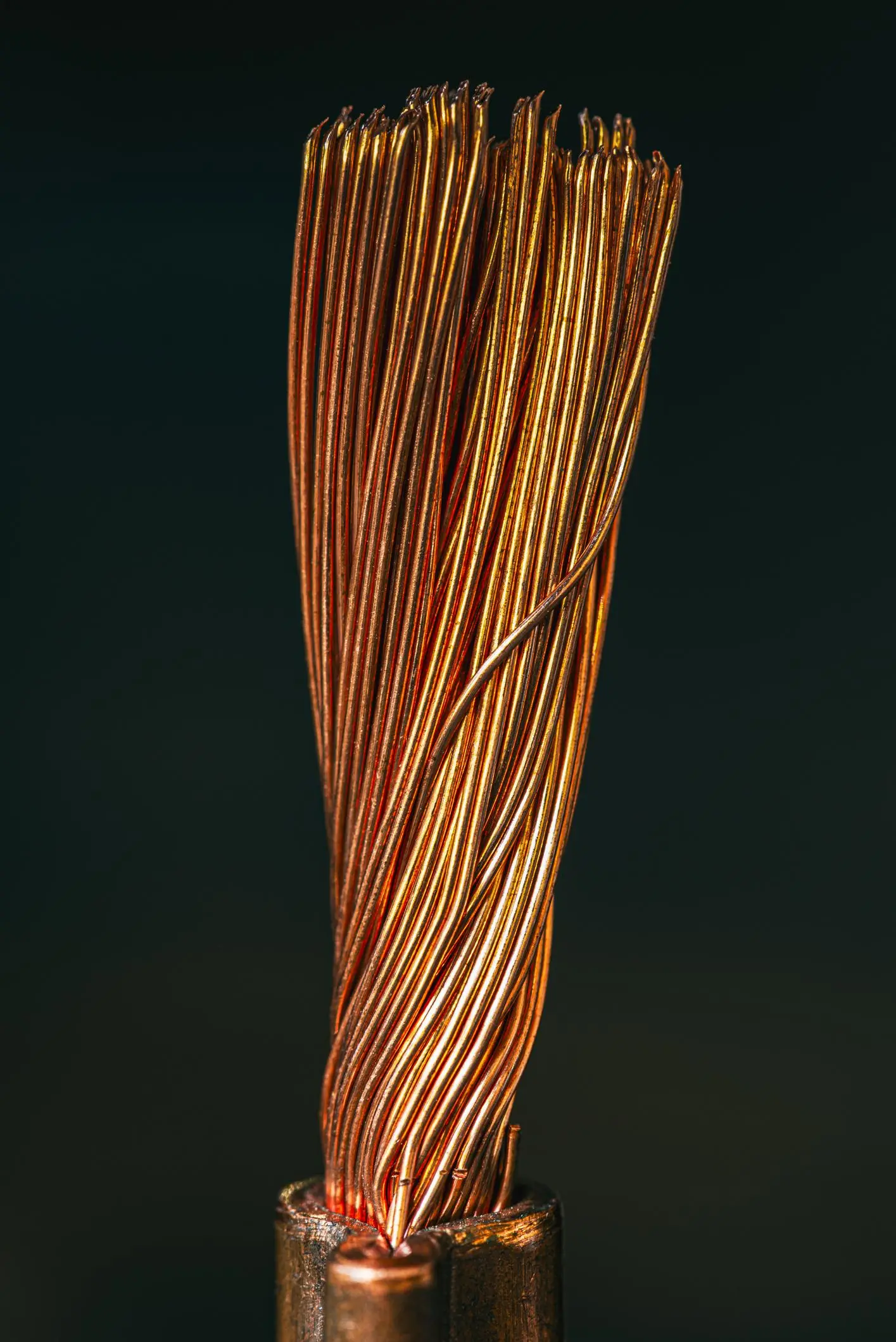 Our team is made up of passionate individuals